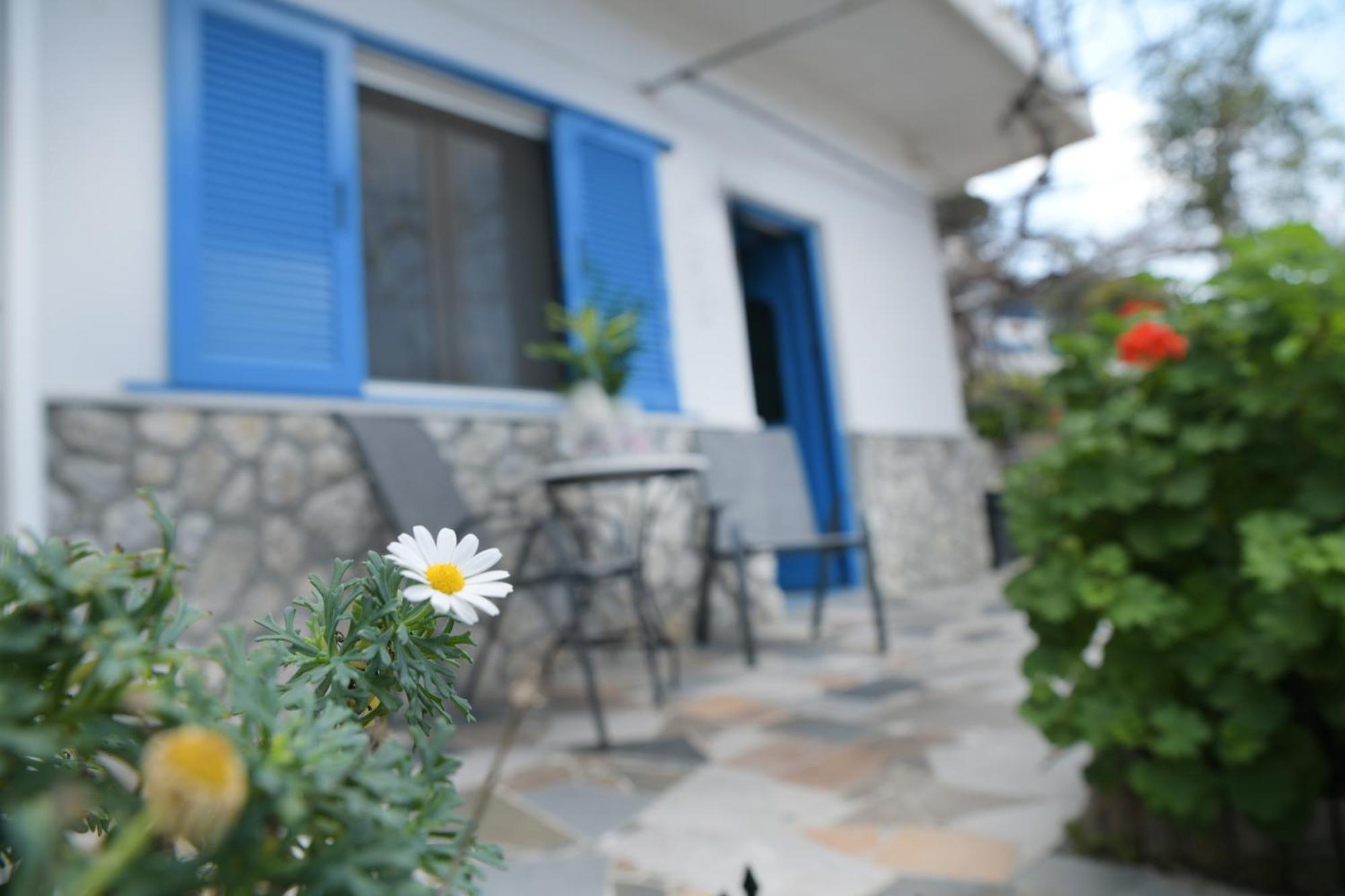 Panorama Studios & Apartments Μυρτιές Εξωτερικό φωτογραφία